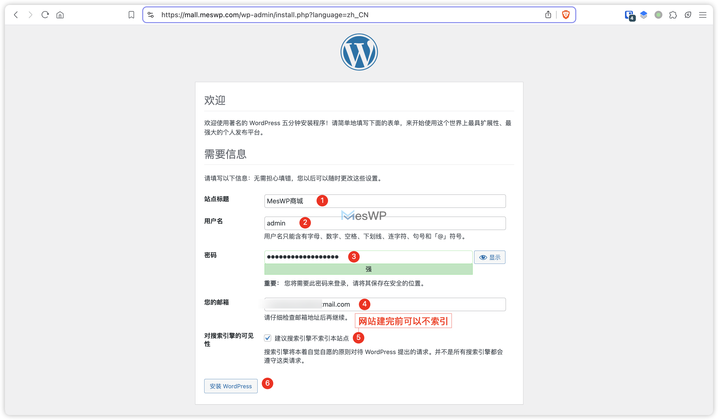 wp-install-site-info-1